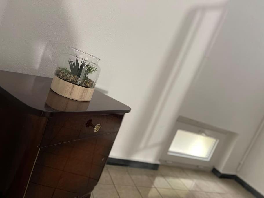 Appartements « La Parenthese » Wissembourg Buitenkant foto