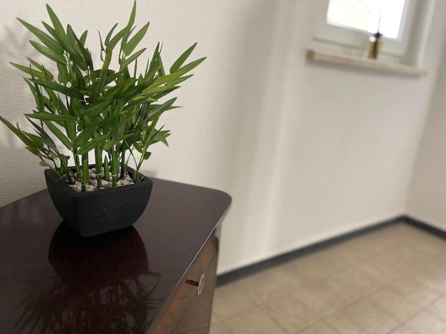 Appartements « La Parenthese » Wissembourg Buitenkant foto
