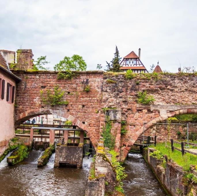 Appartements « La Parenthese » Wissembourg Buitenkant foto